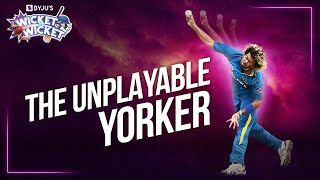 What Makes A Yorker unplayable  Drag Collision amp Kinetic Energy  Simon Doull  Wicket to Wicket [upl. by Eletnahc]