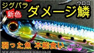 ジグパラ新作 ダメージ鱗を投げたら釣れ過ぎた 弱った魚 本能を刺激する【ショアジギング】メジャークラフト [upl. by Yadrahc30]