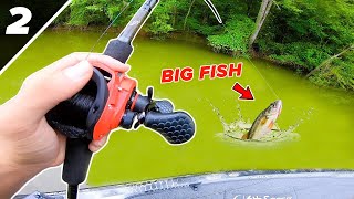 Will we WIN this Fishing Tournament Youtuber Fish Off [upl. by Carolina]