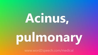 Acinus pulmonary  Medical Meaning [upl. by Retla]