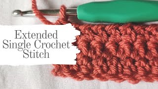 Extended Single Crochet Stitch Tutorial  Fast and Easy Blanket Stitch Idea [upl. by Ahsiekim]