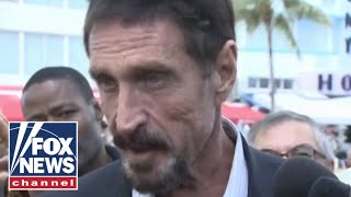 John McAfee claimed his charges were politically motivated before his death [upl. by Fasto]