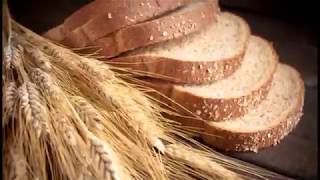 Growing Heritage Wheat at home Part 1 [upl. by Quiteris]