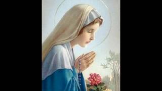 El Halibo  Ave Ave Ave Maria Chant Catholique En Creole [upl. by Zadoc]