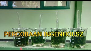 Percobaan IngenhouszFotosintesis Anabolisme Biologi SMA Kls XII [upl. by Lasiaf714]