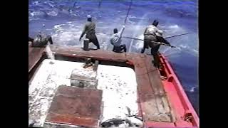 HAWAII FISHING Aku Skipjack Tuna Extreme Fishing Standing on a Moving Boat with barbless hooks [upl. by Thacker]