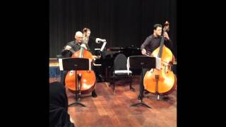 GBottesini  Passione Amorosa Sorin Orcinschi amp Catalin Rotarudouble bass Wan Ting Yu piano [upl. by Raskin102]