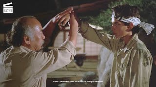 The Karate Kid Classic moves HD CLIP [upl. by Harlin]