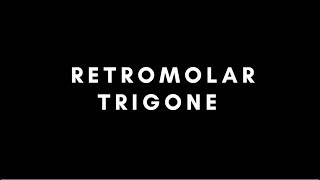 Retromolar trigone [upl. by Carver]