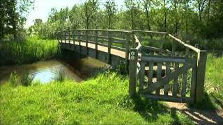 Tungelroyse beek het grootste beekherstelproject van Nederland [upl. by Kareem]