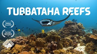 TUBBATAHA REEFS  Heart of the Philippine Seas Documentary [upl. by Boone498]