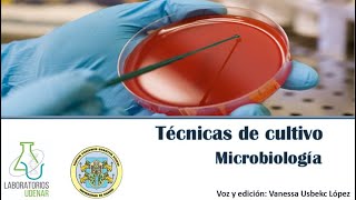 Técnicas de siembra Microbiología [upl. by Balbinder]