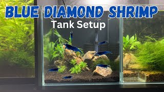 Super Simple Blue Diamond Neocaridina Shrimp Tank Setup [upl. by Uriel137]