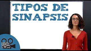 Tipos de sinapsis [upl. by Ignazio403]