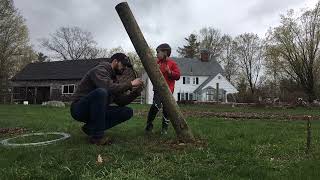 Building a Trellis for Seedless Table Grapes [upl. by Lerraf]