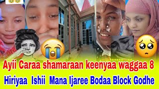 😭Ayii Caraa shamaraan keenyaa hiriyaan ishii mana ijaref bodaa block godhead uuuffee😭😭 [upl. by Enohsal]