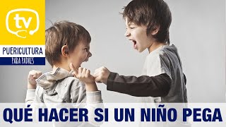 ¿Qué hacer si un niño pega Agresividad infantil [upl. by Henrique]