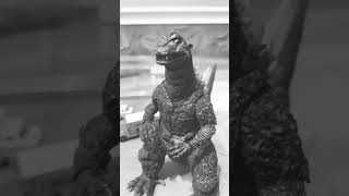 Posing the S H Monster Arts Godzilla  gojira 1954 actionfigure [upl. by Beffrey]