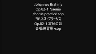 Johannes Brahms Op821 Naenie chorus practice sop [upl. by Johna382]