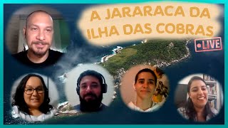 HerpetoLive  A Jararaca da Ilha das Cobras Bothrops insularis Parte 2 [upl. by Gabel459]