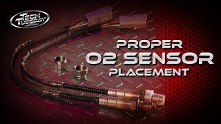 Proper O2 Sensor Placement [upl. by Attiuqihc]