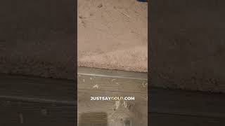 www How to Repair Carpet com Fix or Patch Carpet [upl. by Aitam]