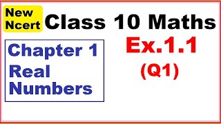 Class 10 Maths  Ex11 Q1  Chapter 1  Real Numbers  New NCERT [upl. by Luapnaes]