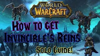 World of Warcraft  How to get Invincibles Reins  Solo Lich King 25m Heroic  Solo Mount Guide [upl. by Oniger]