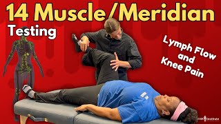 MUSCLEMERIDIAN TESTING for Knee Pain [upl. by Jolanta845]