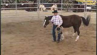 Round Pen Basics Control [upl. by Sivla]