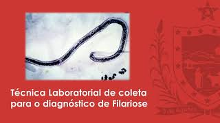 Técnica Laboratorial de Coleta para o Diagnóstico de Filariose [upl. by Joyan]