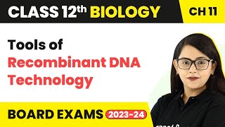 Tools of Recombinant DNA Technology  Class 12 Biology Chapter 11 202223 [upl. by Hoes]