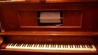 Maple Leaf Rag on my Player Piano [upl. by Berner]