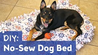 DIY NoSew Dog Pet Bed  Sea Lemon [upl. by Crandale718]