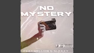 No Mystery feat Mellow amp Sleazy [upl. by Elda]