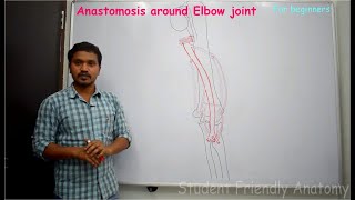 Anastomosis around Elbow joint  Made easy for beginners [upl. by Cheke]