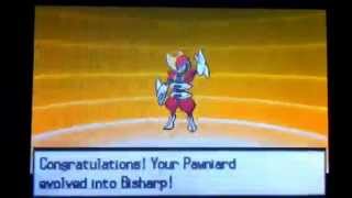 Pawniard evolving in to Bisharp [upl. by Armin]