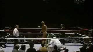 Hulk Hogan Vs Iron Sheik MSG 12384 Part 2 [upl. by Nerrat]