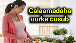 calaamadaha uurka cusub [upl. by Gough]