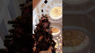 Disney Grand Floridian Christmas [upl. by Coniah]