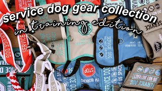 service dog gear collection  in training edition [upl. by Darius]