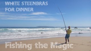 Big Steenbras and Grunter caught in Garden Route [upl. by Anilegnave843]