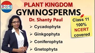 Gymnosperms  Plant kingdom [upl. by Alves431]