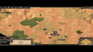 AoE2 Fast Castle Arabia Speedrun Former WR 1025 IGT [upl. by Tan24]