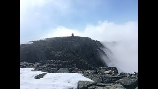 Blånebba i Trollheimen [upl. by Pearline956]