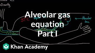 Alveolar gas equation  part 1  Respiratory system physiology  NCLEXRN  Khan Academy [upl. by Ahsuas]