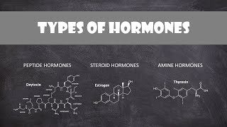 Types of Hormones  Human Physiology [upl. by Ahsiliw]