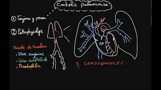 Embolie pulmonaire  CAUSES  SYMPTOMES CAT ROLE INFIRMIER [upl. by Burkhardt]