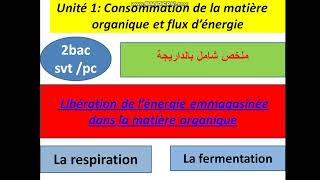 Consommation de la matiére organique 2bac svt [upl. by Ennailuj]