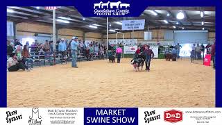 2024 Guadalupe County Youth Show [upl. by Asenev]